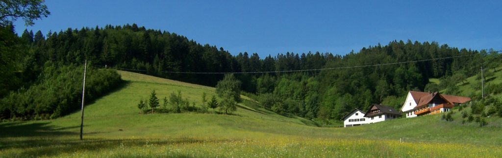 Stinneshof Oberharmersbach