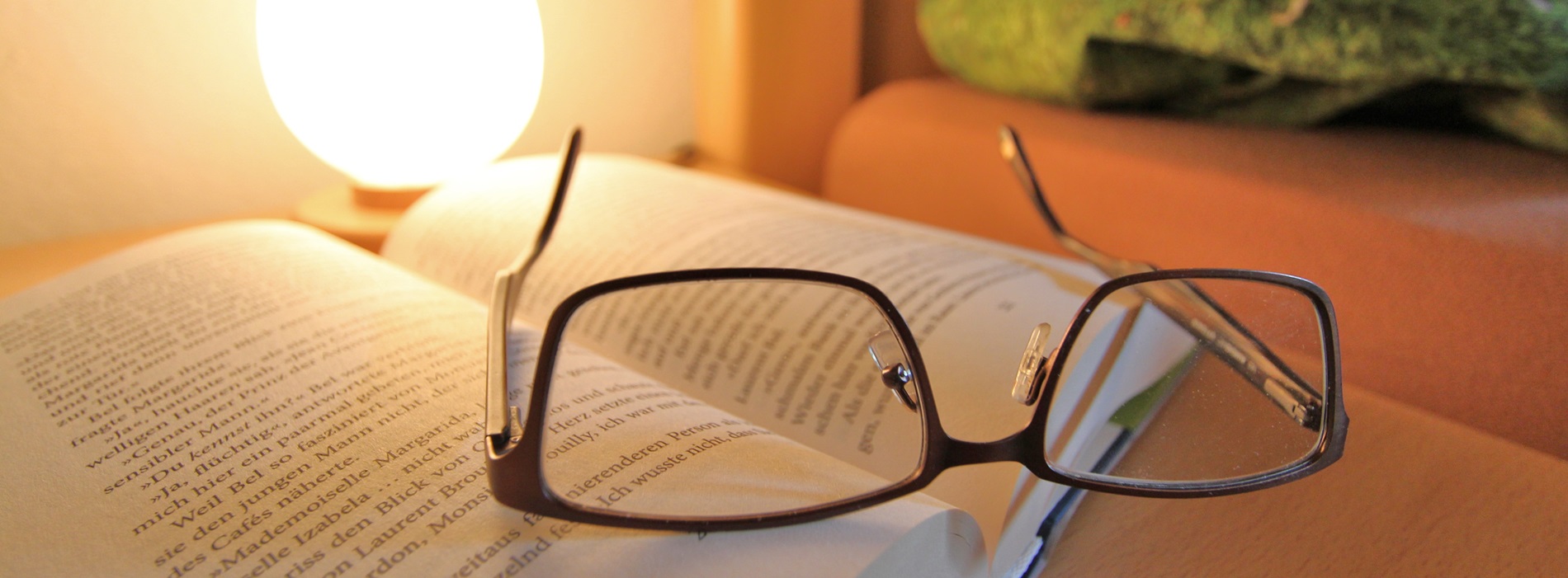 Lesen entspannen Ferien im Stinneshof