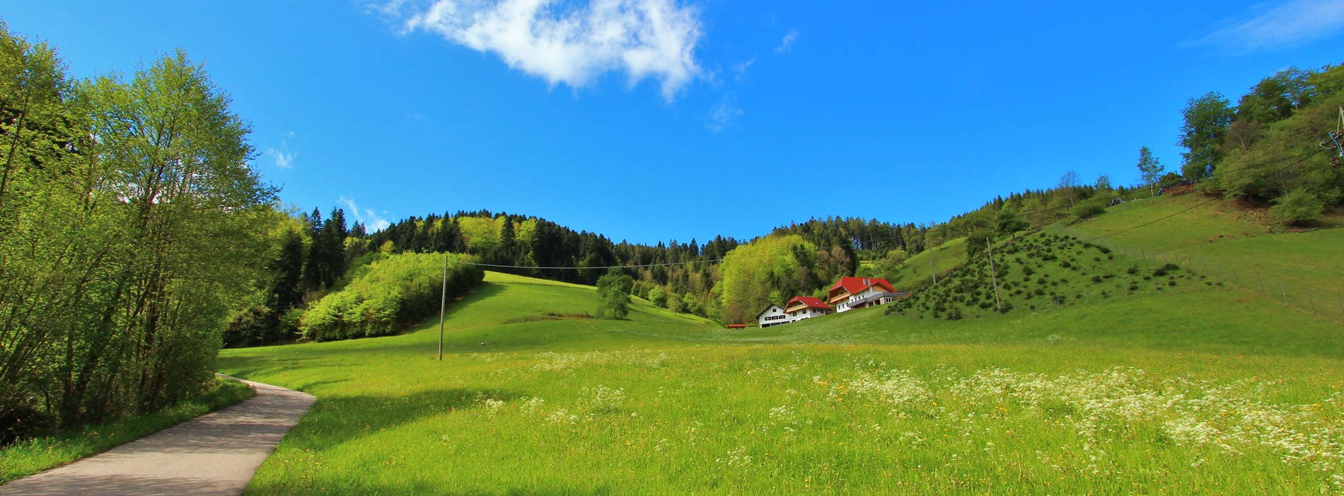 Anfahrt Stinneshof Zuwald Oberharmersbach