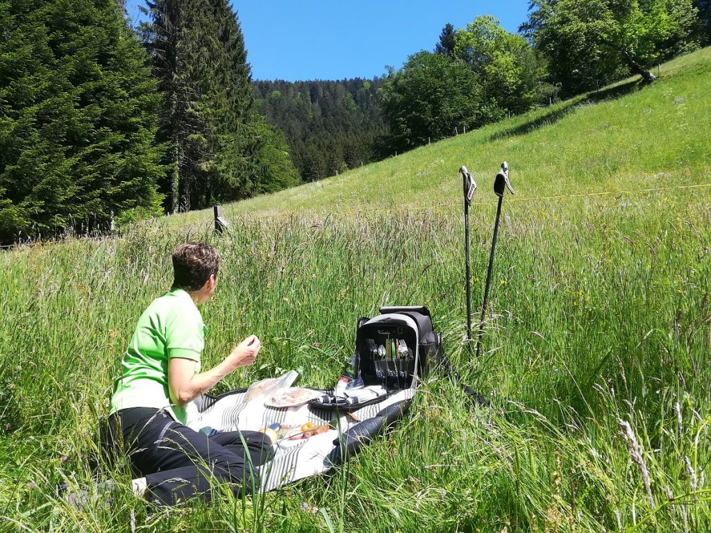 Picknick in Zuwald auf der Wiese